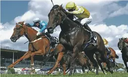  ?? KENTON WRIGHT - RACE IMAGES ?? Bonny Lass, left, fights off Crocetti in the closing stages to take out yesterday’s Gr.1 BCD Group Sprint (1200m) while, below, Legarto asserts her dominance over 2000m in claiming the Gr.1 Herbie Dyke Stakes – both at Te Rapa.