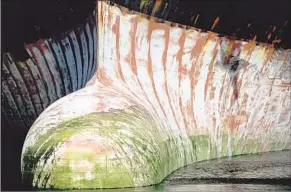 ??  ?? “ORGANIC HULL” was shot by Mares shortly after a ship had been scraped clean.