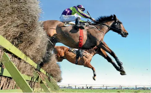  ?? PHOTO: TRISH DUNELL ?? Michael Mitchell earned his money aboard Mr Mor yesterday when the veteran jumper successful­ly defended his Hawke’s Bay Steeplecha­se title at Hastings.