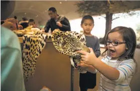  ?? Paul Kuroda / Special to The Chronicle 2018 ?? Left: Museums like the California Academy of Sciences in San Francisco, known for handson displays like this one, are struggling. The academy announced to staff that ways to cut expenses are being explored.