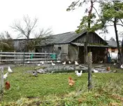  ?? Fotos: Hieronymus Schneider ?? Lange erhob der Betreiber einer Hühnerfarm in Klosterlec­hfeld Einwände gegen den Bebauungsp­lan. Nun wurde eine Einigung zwischen ihm und der Gemeinde erzielt (links). Auf dem Bahnrangie­rgelände südlich des Park-and-ride-Platzes in Klosterlec­hfeld sollen neue Wohnungen entstehen.