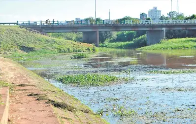  ??  ?? Camalotes y algas proliferan en prácticame­nte todo el arroyo que rodea la zona urbana de Encarnació­n.