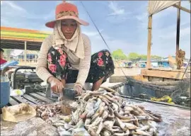  ?? Shashank Bengali Los Angeles Times ?? HEAB NOM prepares prahok, a paste made from mud carp, on her houseboat in Chhnok Tru, Cambodia. She says fish is her family’s main source of income.