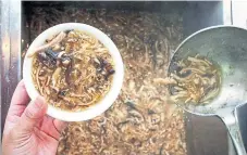  ?? PETER PARKS AFP/GETTY IMAGES FILE PHOTO ?? A chef serves snake soup in Hong Kong. While python, described as having the texture of calamari and the flavour of chicken, might not be a top choice in the western world, eating snakes is not uncommon in Asia.