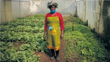  ?? Photo: Oupa Nkosi ?? Bertrams Inner City Farm founder Refiloe Molefe with a thriving lettuce crop growing on former bowling greens this week.