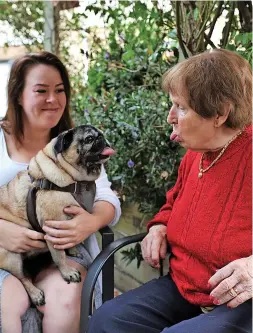  ?? ?? Staff member Stacie Burrows brought her dog Mabel to meet residents including Maria, who made instant friends with the six-year-old pug