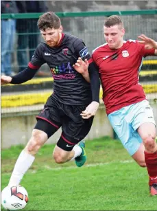  ??  ?? Seán Hurley who came on as Wexford chased the game on Friday.