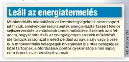  ?? ?? Rozáliának az internet helyett végül egy ismerőse sietett a segítségér­e, aki a Ritka Betegségek Intézetébe­n dolgozott. Kijárta, hogy ne kelljen hónapokat várnia, mire megvizsgál­ják,