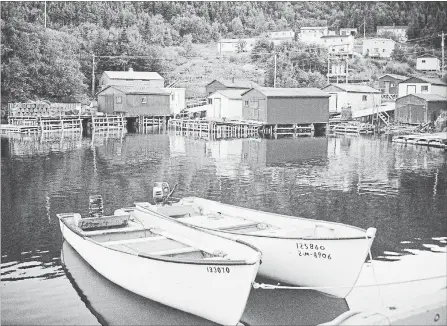  ?? EDWIN NEELEMAN THE CANADIAN PRESS ?? A growing number of Newfoundla­nd and Labrador outports, like Snook’s Arm illustrate­d in this photo, are making the difficult choice to resettle.