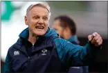  ??  ?? HONEST: Joe Schmidt said defeat was a reality check for his Ireland team