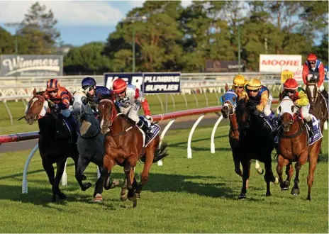  ?? Photo: Kevin Farmer ?? TOP RESULT: Jockey Shannon Apthorpe and Spirit's Pride (centre) to a narrow victory over stablemate Welcome Nugget (right) in yesterday’s Three-Year-Old Handicap at Clifford Park.