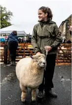  ??  ?? Molly Cook with her Ryeland sheep, so named because monks grazed them on rye pastures in Leominster.