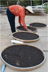  ?? ?? A worker dries peppercorn at a pepper farm in Cambodia’s Kampot province.