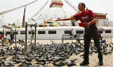  ?? — AP ?? Spreading joy: Apa Sherpa feeding pigeons in Boudhanath Stupa in Kathmandu, Nepal.