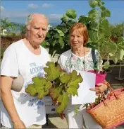  ??  ?? Louis Champavier a tenu un atelier de bouturage d’Hortensias.