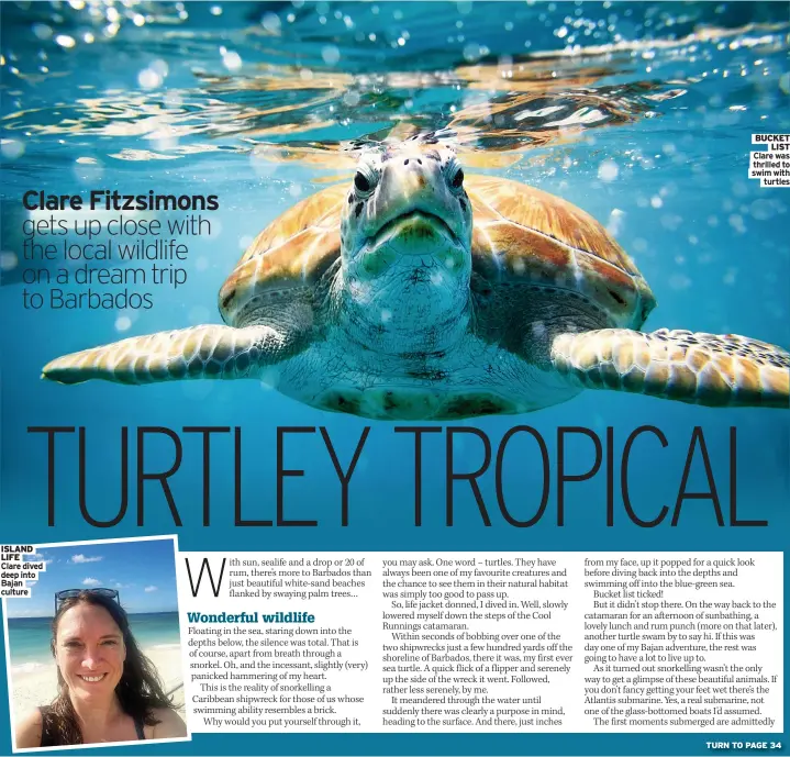  ?? ?? ISLAND LIFE
Clare dived deep into Bajan culture
BUCKET
LIST
Clare was thrilled to swim with
turtles