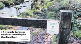  ?? Charlie Elder ?? > A riverside Dartmoor woodland owned by the Woodland Trust