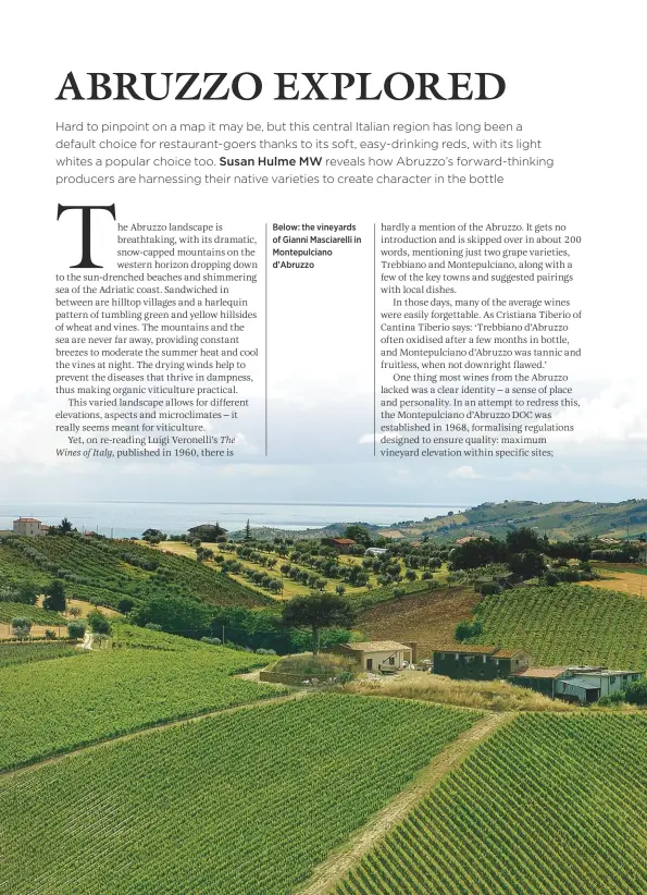  ??  ?? Below: the vineyards of Gianni Masciarell­i in Montepulci­ano dÕAbruzzo