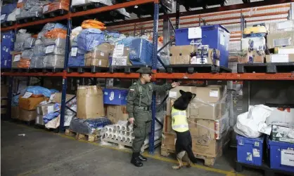  ??  ?? Drug dog Sombra looks for drugs in the cargo hold of El Dorado airport in Bogotá, Colombia, on 26 July. Photograph: Fernando Vergara/AP