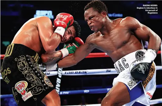  ?? Photos: MIKEY WILLIAMS/TOP RANK ?? RAGING DESIRE: Dogboe is relentless in his pursuit of Magdaleno