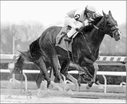  ?? BARBARA D. LIVINGSTON ?? Weyburn wins a maiden race over a sloppy, sealed track Dec. 5.