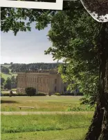  ??  ?? ABOVE FROM TOP More plants go into the ground at the base of a tree; the garden developmen­t project at Chatsworth is the biggest project seen in the historic property’s gardens for two centuries.