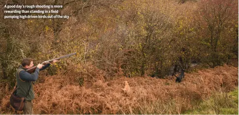  ?? ?? A good day’s rough shooting is more rewarding than standing in a field pumping high driven birds out of the sky