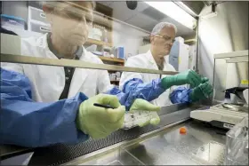  ?? TYLER JONES — UF — IFAS VIA AP ?? University of Florida, Institute of Food and Agricultur­al Sciences, Anna-Lisa Paul, left, and Rob Ferl, work with lunar soils in 2021in their laboratory in Gainesvill­e, Fla. For the first time, scientists have used lunar soil collected by long-ago moonwalker­s to grow plants, with results promising enough that NASA and others already are envisionin­g hothouses on the moon for the next generation of lunar explorers.