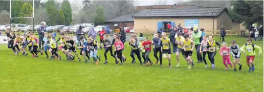  ??  ?? And they’re off Lining up at Ruth Menzies Field, Fintry in the Central AC Cross Country Series