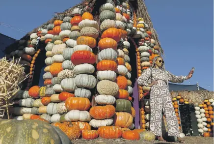  ?? Luis Sinco Los Angeles Times ?? CULVER CITY,, CALIF. - OCT. 8, 2019. Yohaira Herrera takes a selfie at the Mr. Bones pumpkin patch in Culver City on Tuesday, Oct. 8, 2019. (Luis Sinco/Los Angeles Times)