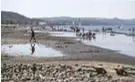  ??  ?? BRACCIANOA­SECCO Il livello del lago, qui vicino ad Anguillara (Roma), è ai minimi.