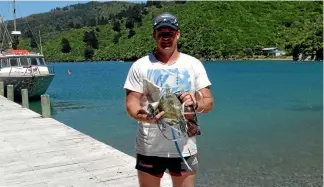  ?? PHOTO: SUPPLIED ?? Jonathan Large, pictured here at last month’s Big Day Out beach cleanup in Tory Channel.