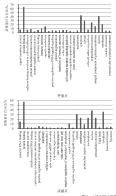  ??  ?? 图 3 4种中医体质差异表达­基因GO富集分析结果