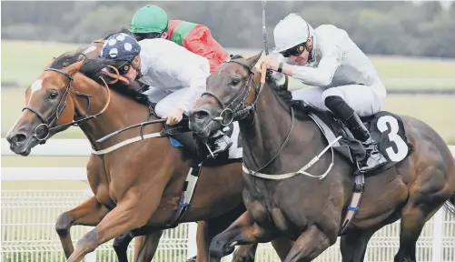  ?? ?? Dutch Painting and Jason Watson win at Goodwood in September 2019 – the last month in which it staged racing in front of a crowd