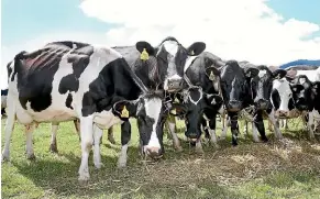  ??  ?? Anyone who has had a good or bad experience with the dairy industry in the past 20 years has told their friends about it.