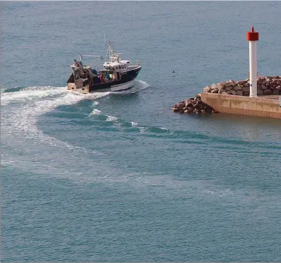  ??  ?? Erquy, “capitale” de la coquille Saint-Jacques. Pêche et aquacultur­e font vivre 13 % de la population mondiale. Avec notamment de nombreux pêcheurs artisanaux.