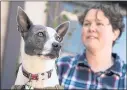  ?? ANDA CHU STAFF PHOTOGRAPH­ER ?? Veteran Maddy Gibson credits her service dog, Lady, a 5-yearold basenji mix, with helping her with emotional struggles after her military tours.