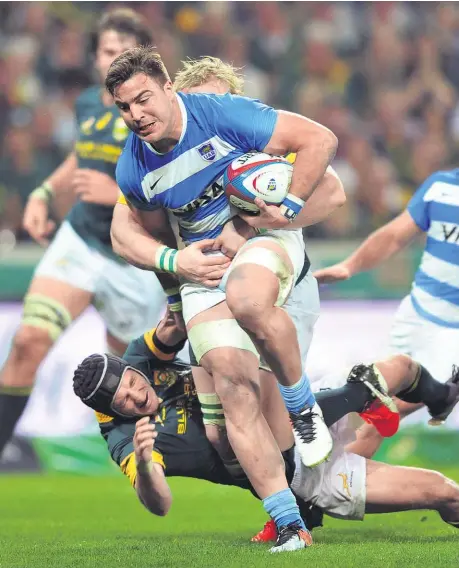  ??  ?? Facundo Isa has been busy as the Pumas kicked off the Rugby Championsh­ip with a narrow loss and win against the Boks.