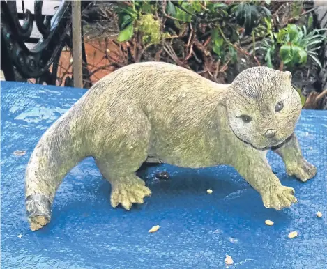  ??  ?? ANIMAL welfare experts were called out to investigat­e a 12-inch lizard found in a woman’s garden — only to find it was an ornamental otter.
The woman discovered what she thought was a reptile in her cat’s outdoor shelter in her Aberdeen garden when...