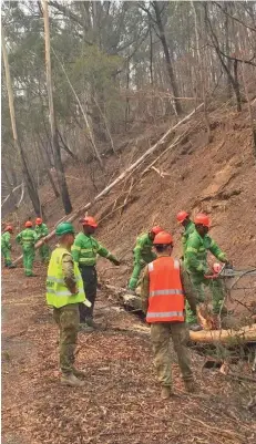  ?? Photo: RFMF Media Cell ?? Our Fijian soldiers hard at work clearing away trees in one of the areas in Australia that was ravaged by the bushfires.