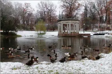  ?? PHOTOS BY PAUL POST — DIGITAL FIRST MEDIA ?? Ducks gather on the snow-covered shore of the pond on Tuesday morning in Congress Park.