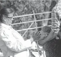  ??  ?? Una escena inédita en Corriedale en Bahía Blanca: la presencia de Elisabeth Amaral Lemos, de Brasil, como jurado.