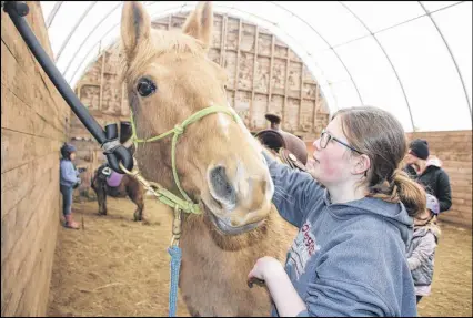  ?? LYNN CURWIN/TRURO DAILY NEWS ?? Molly Jones takes part in the Leg Up youth club with her own horse, Ori. Club activities take place Sunday afternoons at Meadow Brook Stables, in Alton.