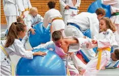  ?? Foto: Polizeispo­rtverein Königsbrun­n ?? Judo mit dem Pezziball gab es bei der Feier zum 35 jährigen Bestehen der Judo Ab teilung im Polizeispo­rtverein Königsbrun­n.