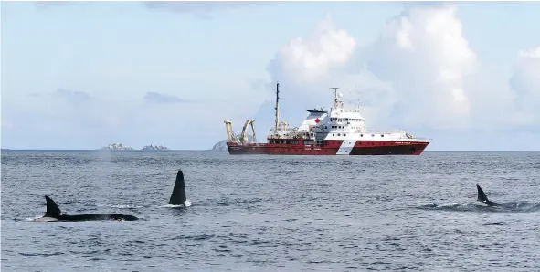  ?? — BRIANNA WRIGHT ?? The Canadian Coast Guard Research vessel John P. Tully will be part of a study on cetaceans off Canada’s West Coast.