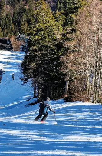  ??  ?? All’Abetone si scia su tre piste disegnate da Colò: la nera Zeno 1, la Zeno 2 e la Zeno 3, con finale nel bosco. In alto a sinistra, alcuni cimeli conservati nella casa del campione.