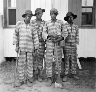  ?? Library of Congress ?? A group of incarcerat­ed men leased to harvest timber in Florida, ca. 1915.