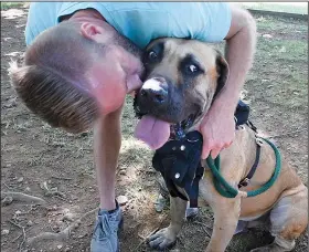  ??  ?? Shannon Sweeney gives his rescue dog Flenderson a hug July 14 at Canine Meadows at John Rudy Park during a reunion of the rescue dogs from South Korea in York, Pa.