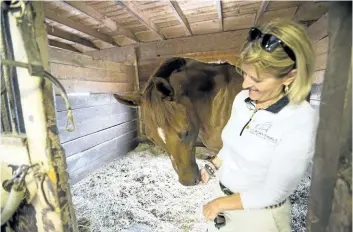  ?? JULIE JOCSAK/STANDARD STAFF ?? Marilyn Lee, owner of Sherwood Farm in St. Catharines, is shown with Prodigioso, who was rescued from the Everglades by Southern Florida Humane Society. Once rehabilita­ted he was adopted by Lee.