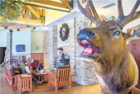  ??  ?? Rawley Cogan, president of the Keystone Elk Country Alliance, meets with the staff in the Great Room of the Elk Country Visitor Center in Benezette.